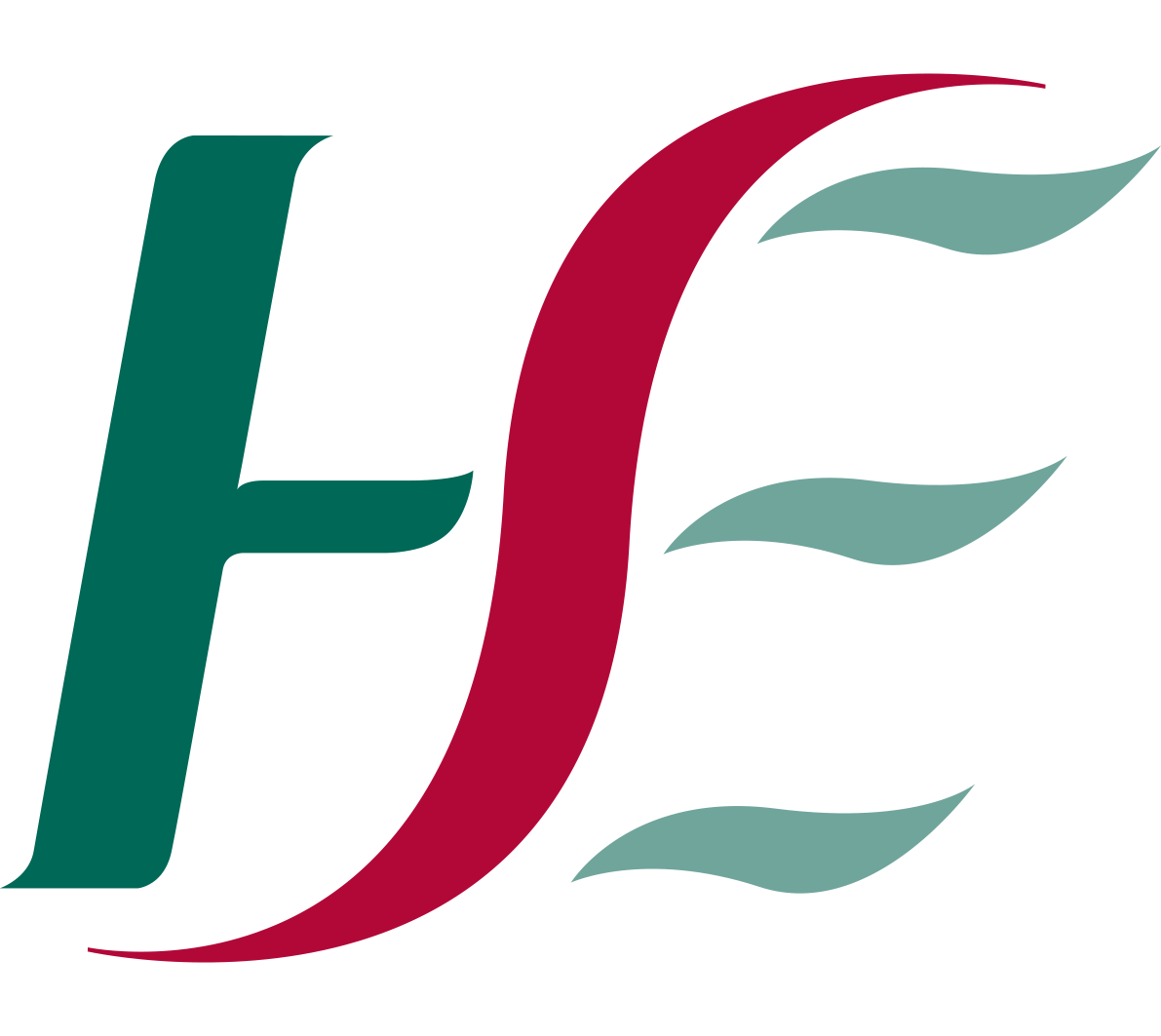 hse logo